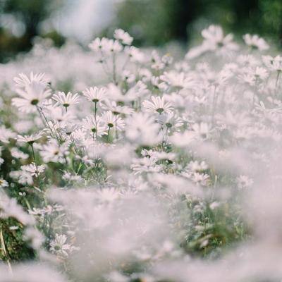 kaiyun体育最新版